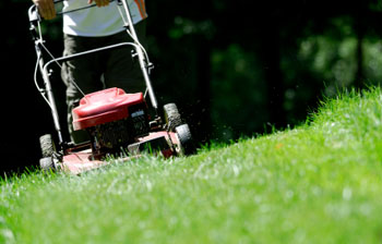 mowing